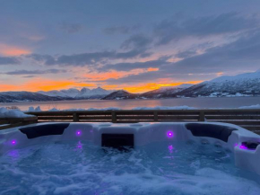 Aurora panorama